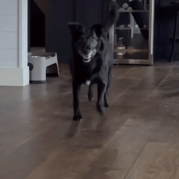 Staying active into their senior years