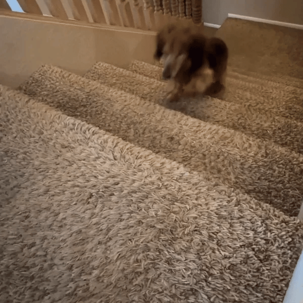 Climbing stairs without hesitation