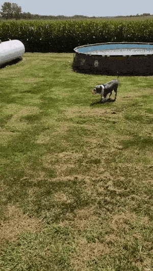 Running & jumping smoothly again!